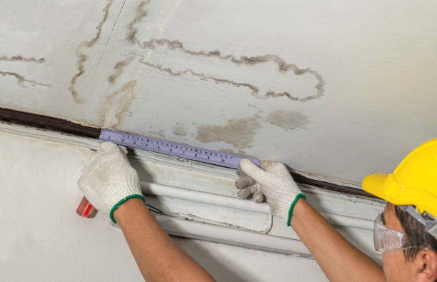 Reliable Mold Remediation contractor in Dorr, MI by Water Damage Irwin